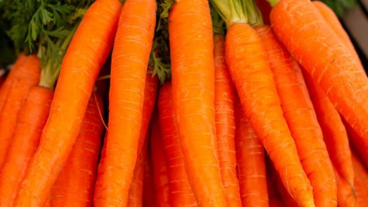 orange carrots on green grass