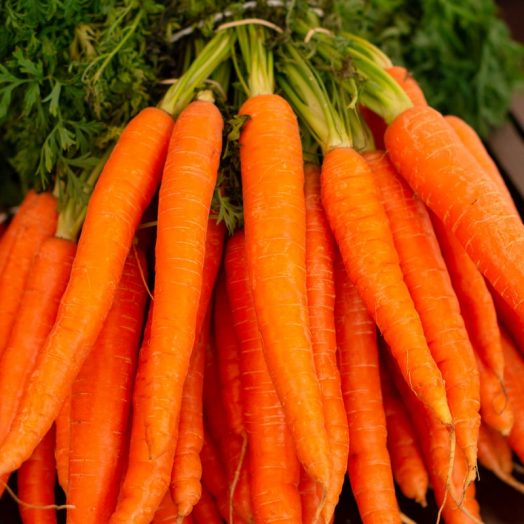 orange carrots on green grass