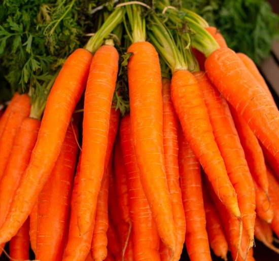 orange carrots on green grass