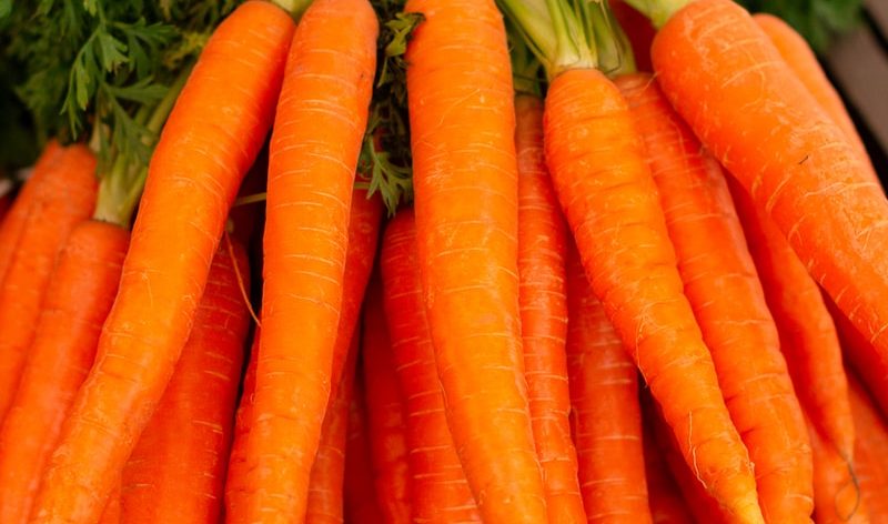 orange carrots on green grass