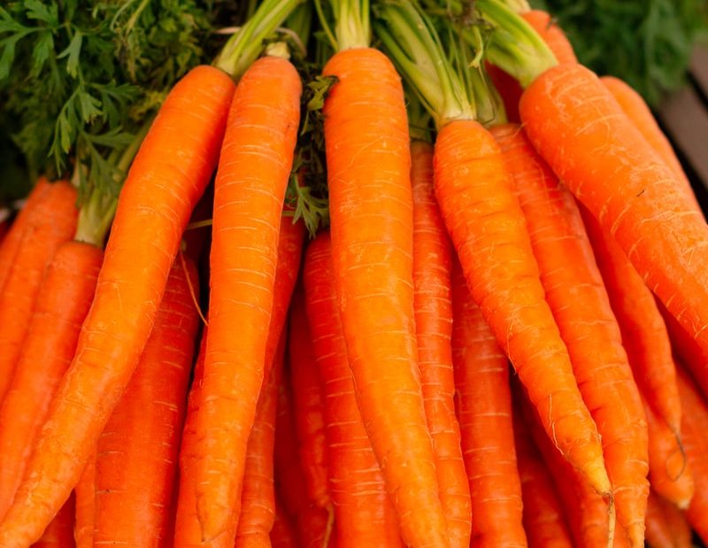 orange carrots on green grass