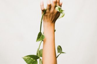 person holding ivy plant